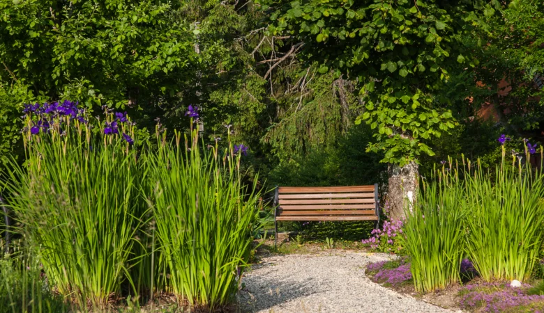 Sitzbank beim Teich im Garten des Frauenhotels Revital auf dem Balcon die Jura.
