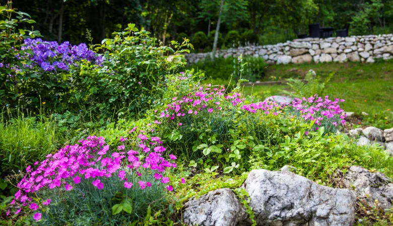 Garten mit blühenden Blumen. Erholungshotel Revital auf dem Balcon du Jura.
