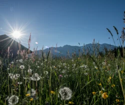 Frische Bergluft geniessen